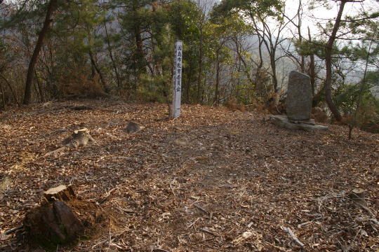 茶臼山城　本丸跡